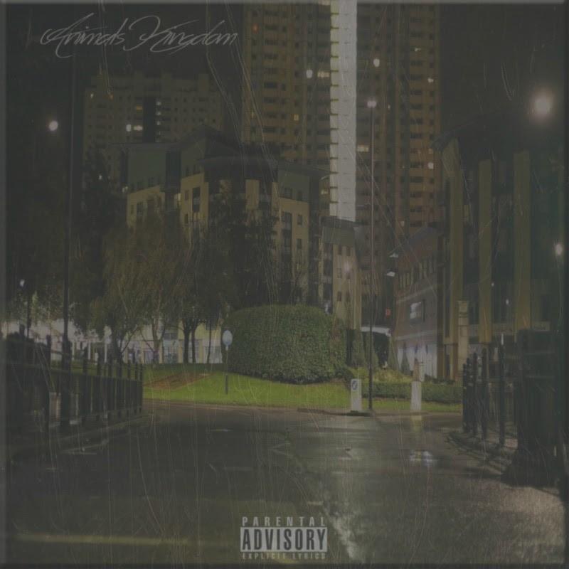 Stream Jordan Sefton's (@JordanSeftonUK) New Album 'Animal’s Kingdom'