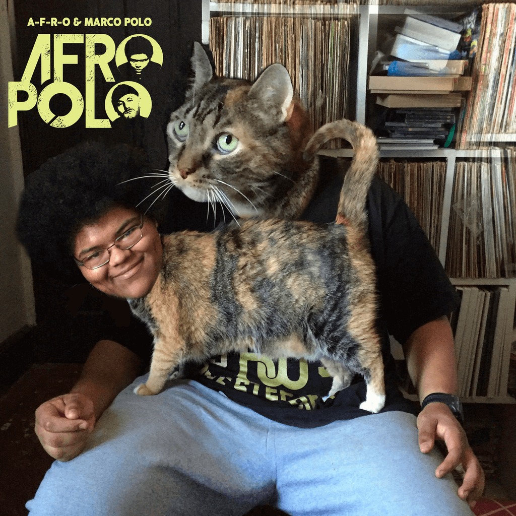 A-F-R-O & Marco Polo - A-F-R-O POLO [EP Artwork]