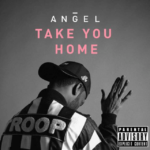 Angel - Take You Home [Track Artwork]