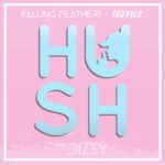 Falling Feathers - Hush (Thievves x Dizzy Remix) [Track Artwork]