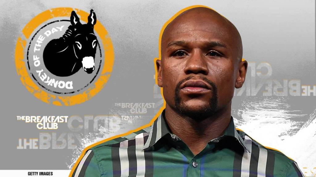 Floyd Mayweather Awarded Donkey Of The Day For 'All Lives Matter' Statement