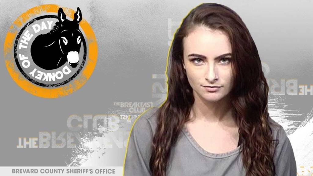 Florida Woman Katie Lee Pitchford Awarded Donkey Of The Day