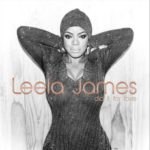 Leela James - Did It For Love [Album Artwork]