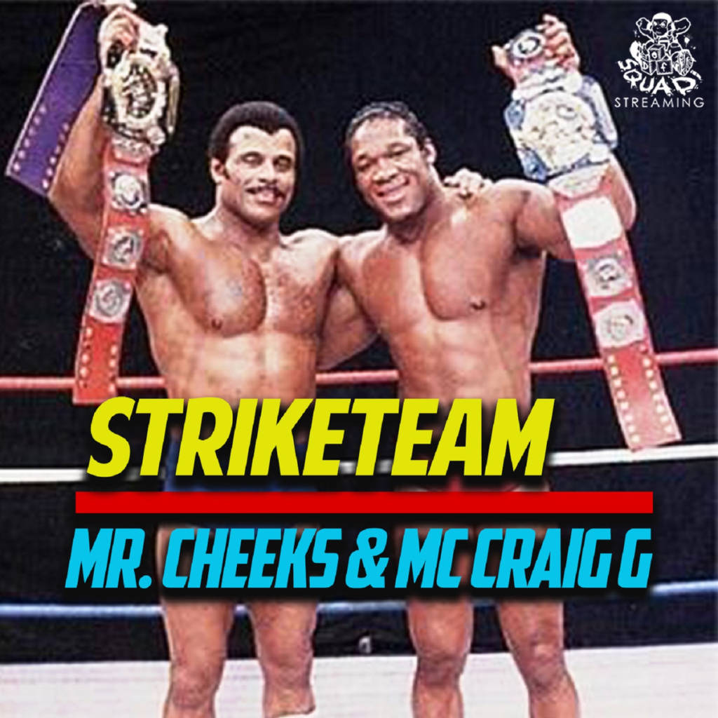 MP3: STRIKETEAM (Mr Cheeks & Craig G) - Rebel Music [Prod. Pete Rock]