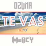 Ozuna - Te Vas (iLL-Mix) [Track Artwork]
