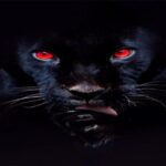 Stream RJ Payne’s ‘He's A Fucking Animal’ Album