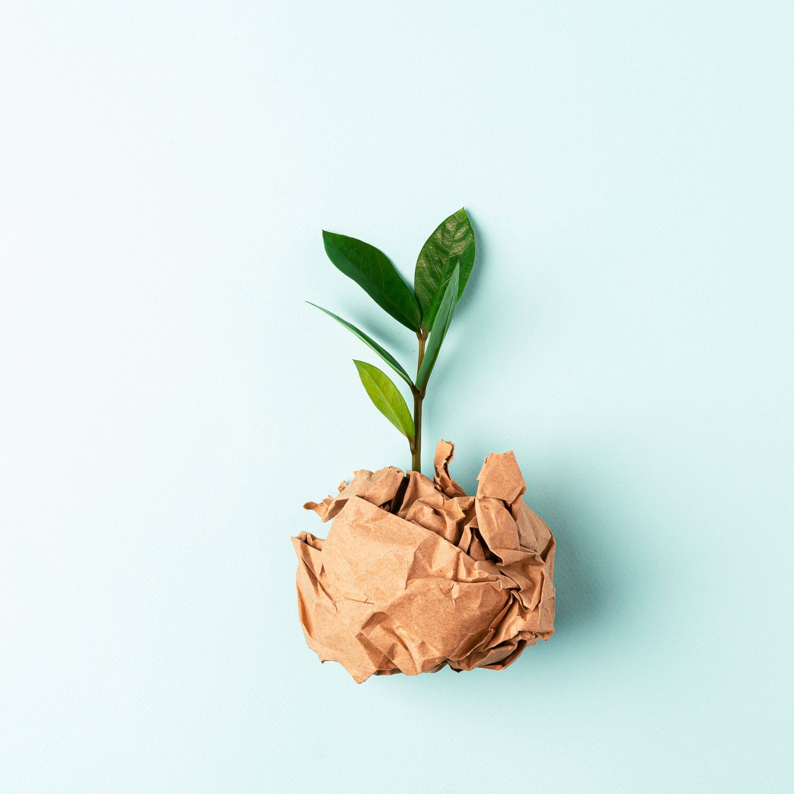 Steps To Build a Sustainable Waste Management Plan