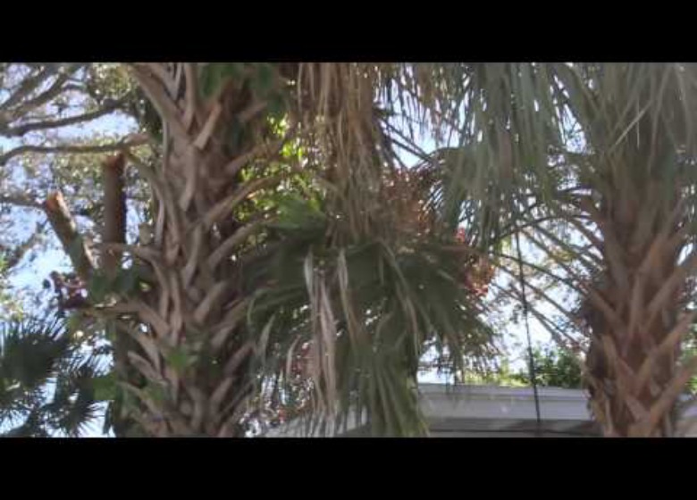 @TaxG Presents Hurricane Sandy Vlog: Episode 1