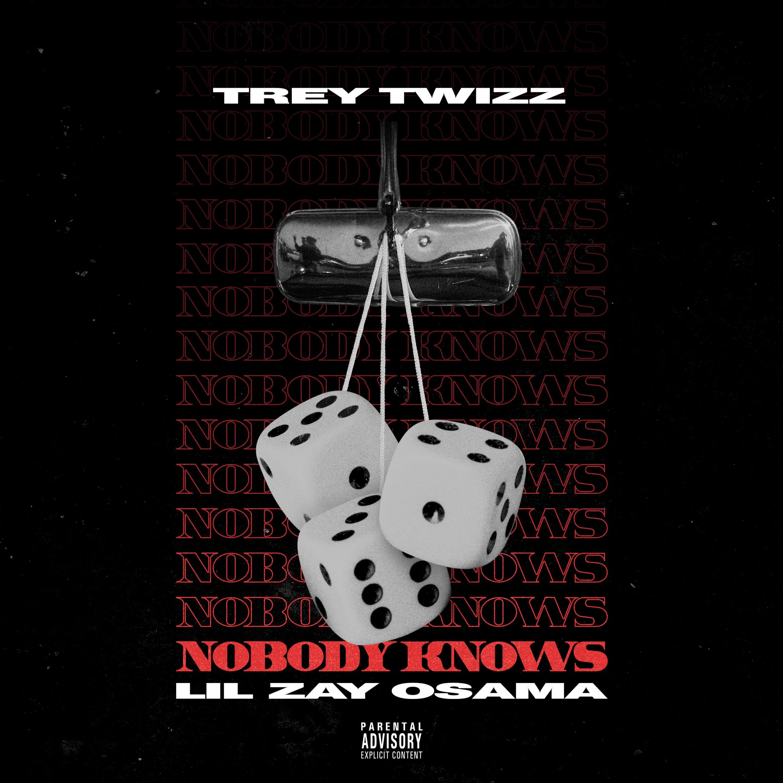 Video: Trey Twizz feat. Lil Zay Osama - Nobody Knows