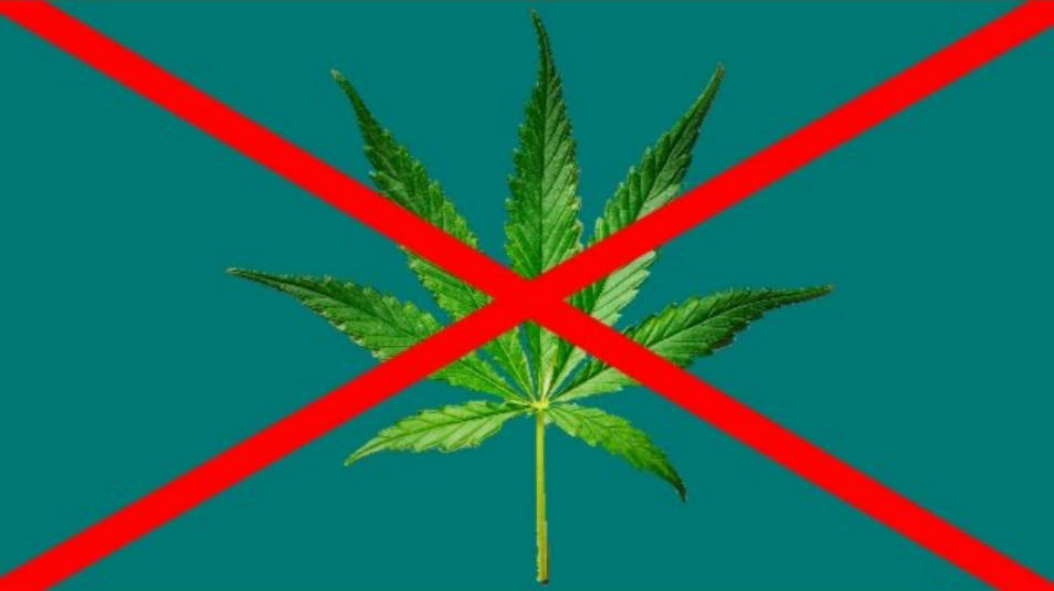 Marijuana/Weed Should Not Be Legalized!!!